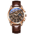 Luminous Chronograph Waterproof Quartz Men's Watch All Season Gifts